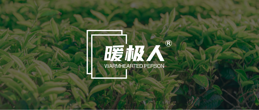 AI设计师-极简logo效果图.png